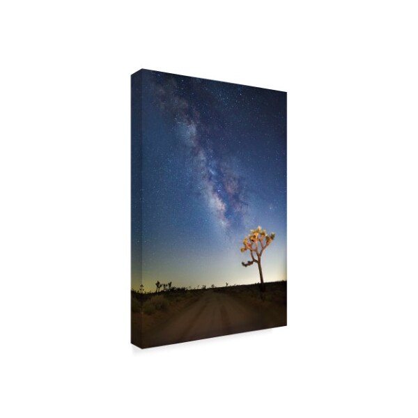 American School 'Joshua Tree Milkyway' Canvas Art,30x47